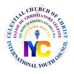 International Youth Council